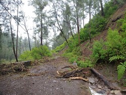 Longsor Susulan Terjadi di 3 Titik, Akses Menuju Kawah Ijen Makin Tertutup