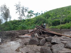 4 Titik Longsor Ijen Ada di Kawasan BKSDA dan Perhutani