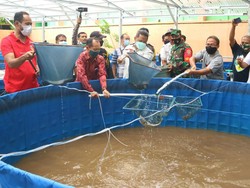 KKP Dorong Masyarakat Budidaya Ikan Pakai Sistem Bioflok