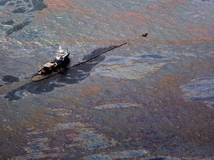 Direktur UNDP: Manusia Binasa Jika Tak Pisahkan Emisi dari Pertumbuhan Ekonomi