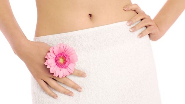 Ilustrasi organ intim sehat/blog.dokter.my Ilustrasi organ intim sehat