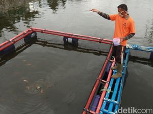Kreatifnya Warga Bandung, Ubah Kolam Retensi untuk Budidaya Ikan dan Wisata