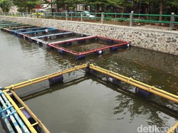 Tak Cuma Cari Untung, BUMN Juga Lakukan Hal Ini Lho