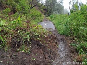 Longsor Tutup Akses Menuju Kawah Ijen