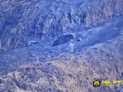 Heboh Gundukan Hitam Diduga Kubah Lava Baru Merapi, Ini Kata BPPTKG