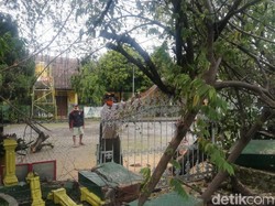 Angin Kencang Bikin 5 Pohon Tumbang di Pasuruan
