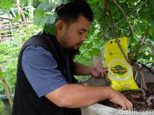 Tingkatkan Produktivitas, Petani Didorong Gunakan Pupuk Non Subsidi