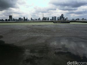 Sedia Payung, Hujan Sepekan di Awal Februari