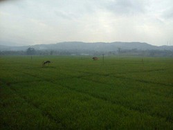 1.250 Tangga dan Pesona Air Terjun Grojogan Sewu