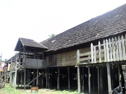 32 KK dalam satu Longhouse Eheng
