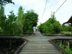 Agats :  Kota Unik di Atas Papan