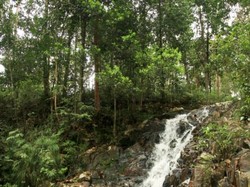 Air Terjun Pongkar