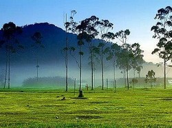 Akhir Pekan Berbalut Udara Segar di Ciwidey
