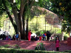 Ayo Main ke Kebun Binatang Tamansari Bandung