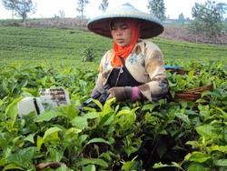 Belajar Sambil Berlibur di Ciater, Bandung