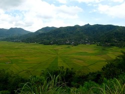 Bentuk Sawahnya Aneh, lho!