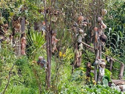 Berani Menguji Nyali di Pulau Boneka Meksiko ?