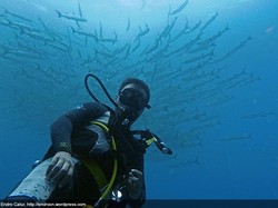 Berburu Sang Pemburu Laut di Kepulauan Padaido, Biak