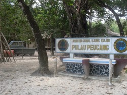 Bercengkerama dengan Taman Nasional Ujung Kulon