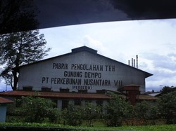 Berlibur ke Kaki Gunung Dempo