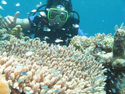 Bertualang Ke Dunia Lain