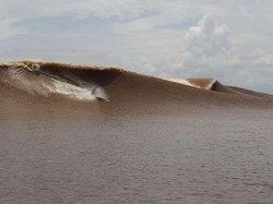 Bukan Berselancar Biasa di Gelombang Bono, Sungai Kampar