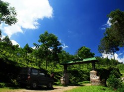 Bukit Tunggul Cibodas, Lembang