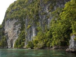 Burung Pembawa Sagu di Hatu Sukun