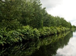 Cagar Alam Biosfer Giam Siak Kecil Bukit Batu, Warisan untuk Anak Cucu