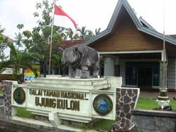 Dari Jakarta ke Pondok Remaja Rhino