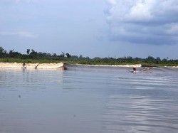 Fenomena Gelombang Bono di Riau