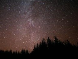 Gallow, Hutan Tergelap se-Dunia Memang Bikin Galau