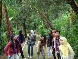 Goes to Dieng