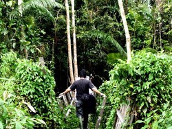 Hutan Lindung Sungai Wain: Menunggu Untuk Diselamatkan.