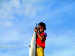 Ikan Bandeng Ekstra Besar di Pasar Ikan Sape