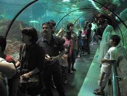 Ini Dia 5 Tempat Wisata Asyik Saat Musim Hujan