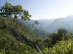 Inilah Perjalanan Menuju Pantai Santolo