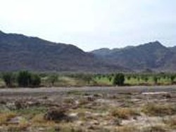 Jabal Magnet yang Misterius