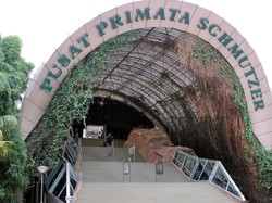 Jalan-jalan Pintar Bersama Pusat Primata Schmutzer