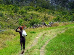 Jalur Surga di Kurima