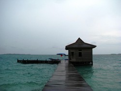 Jelajah Soft Coral di Pulau Semak Daun