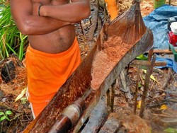 Jutawan Bersahaja dari Hutan Wabudori