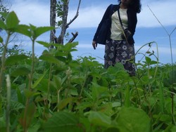 Karang Majat, pulau Indah di Mentawai