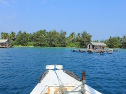 Karimun Jawa Bagian Dua: Berdansa Dengan Si Predator Laut