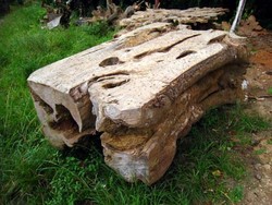 Kayu Jati Penghasil Wirausahawan Sejati