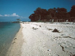 Keindahan Bawah Laut Samalona