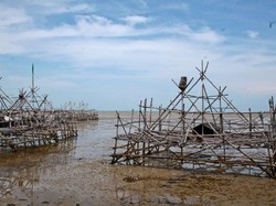Kejutan Di Pantai Talang Siring