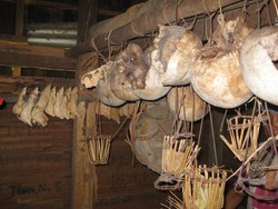 Kepala Anda sebagai Mahar Pernikahan Saya!