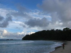 Konservasi Penyu di Pulau Bangkaru