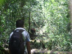 Kuliner Cita Rasa Pedas dari NTB